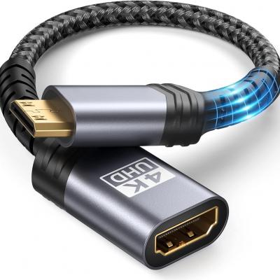 Mini HDMI to HDMI Adapter